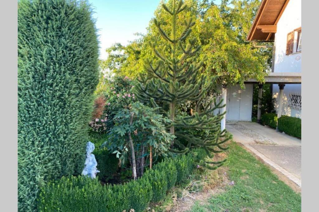 Apartma Jozica In Toncek Sveti Jurij ob Scavnici Exterior photo