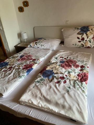 Apartma Jozica In Toncek Sveti Jurij ob Scavnici Exterior photo